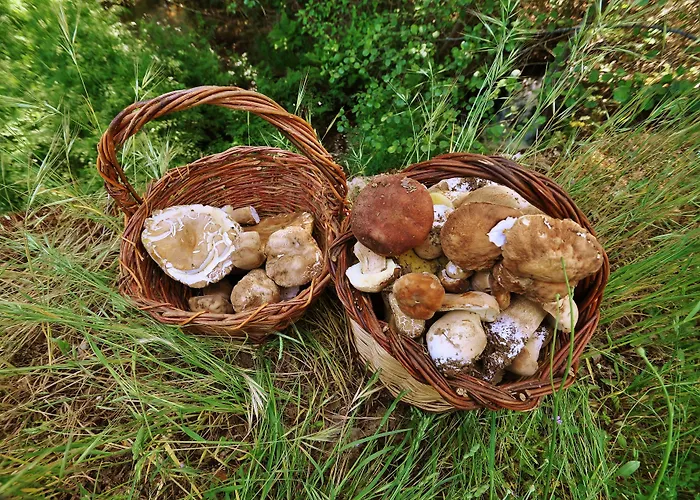 Rural Aguallevada Отель