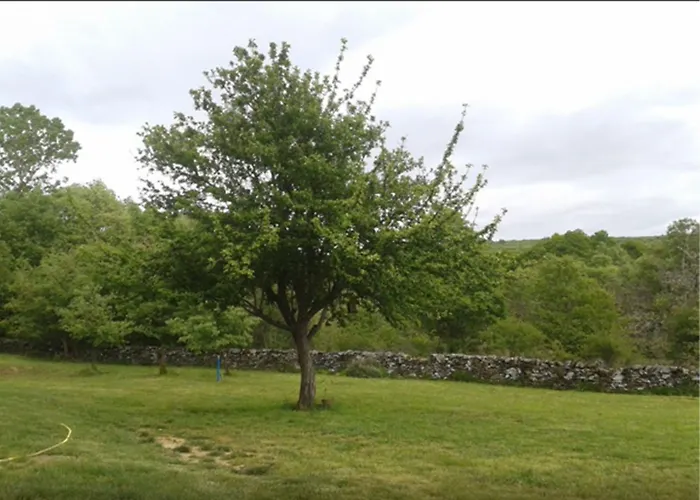 Rural Aguallevada 4*