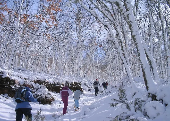 Rural Aguallevada 4* Парамио